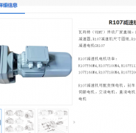 R107-24.9-15kW-M1-0°減速電機型號解析