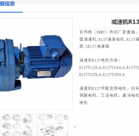 R137-Y22-4p-44.39-M1-0減速電機(jī)型號解析