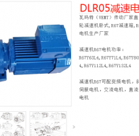 減速電機(jī)DLR05-113-DM112M-4-E-M1型號(hào)解析