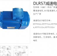 減速電機(jī)DLR57-29-Y290S-4-M6-R-1.1KW型號解析